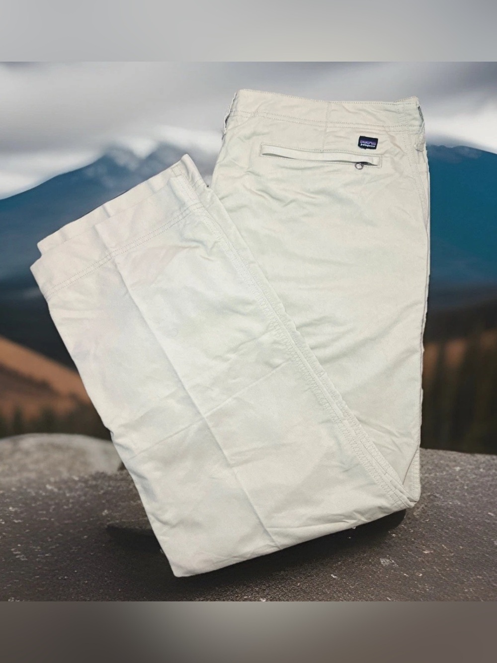Patagonia Men's Roving Pants Size 40 Beige Zip Back Pocket Relax fit 55355